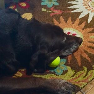 Meet your Posher, Kathy